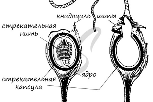 Кракен даркнет ссылка на сайт